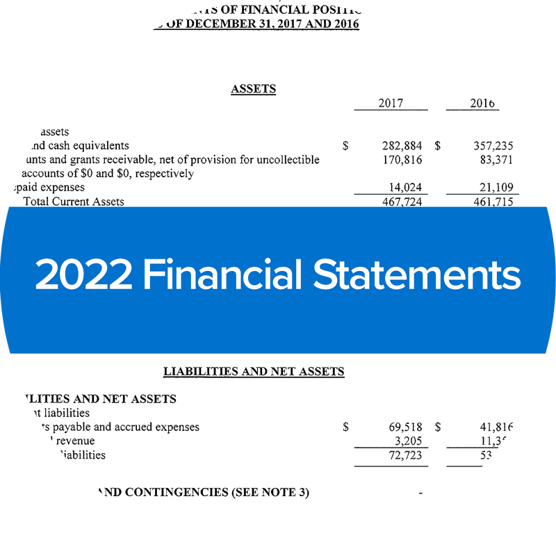 image of 2022 centerlink financial statements